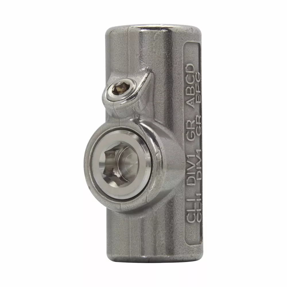 CRSH EYS31 SS 1 NPT THRU FEM CST SS