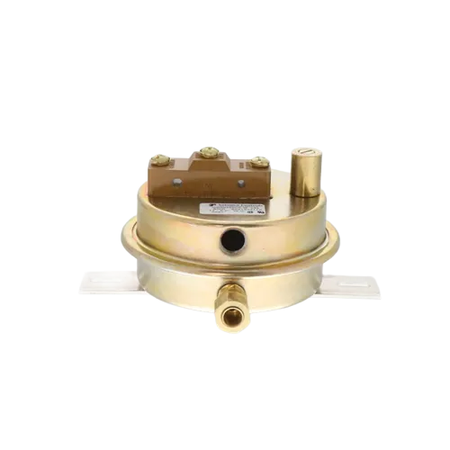 A.J. Antunes 8021203119 Differential Air Pressure Switch 1/4"
