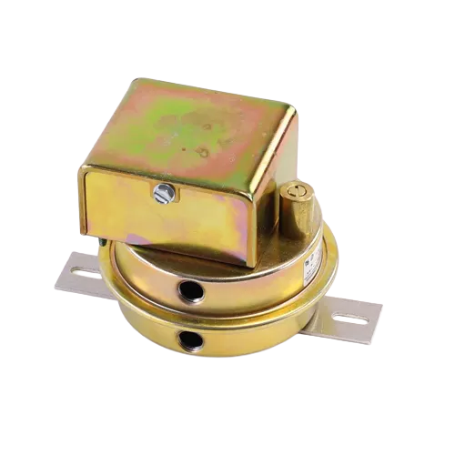 A.J. Antunes 8021204174 Differential Air Pressure Switch 1/8"