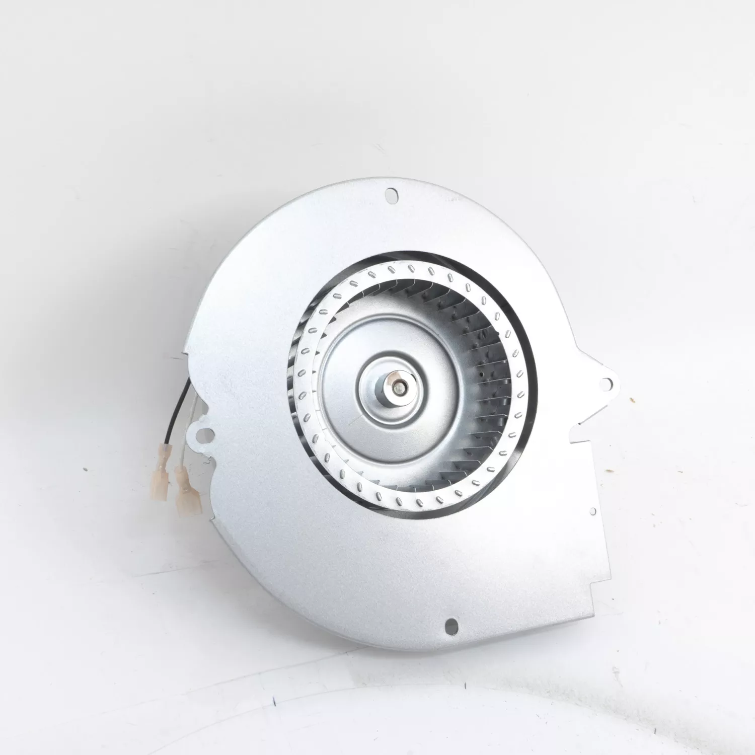 Packard 66121 Inducer Motor, 230v 1/50hp