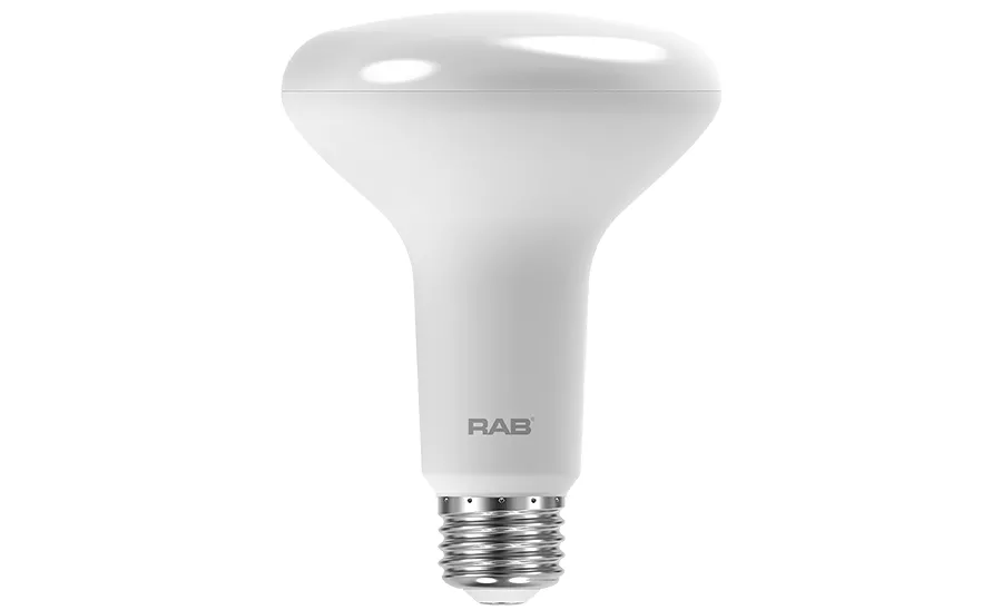 RAB BR30-10-930-DIM BR30 10W 65EQ 7