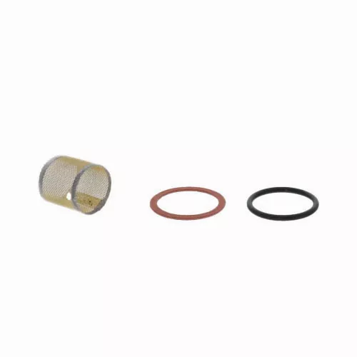 Xylem 118036 Strainer and Gasket Replacement for Bell & Gossett Pumps – OEM Hydronic Pump Filtration Component